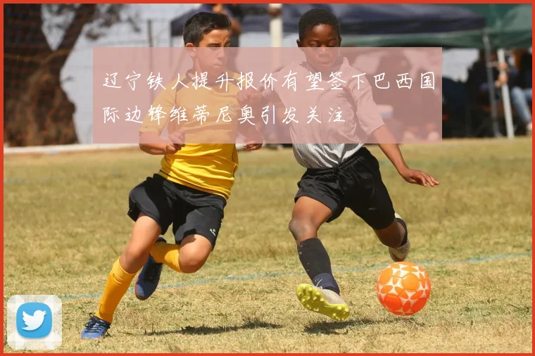 辽宁铁人提升报价有望签下巴西国际边锋维蒂尼奥引发关注