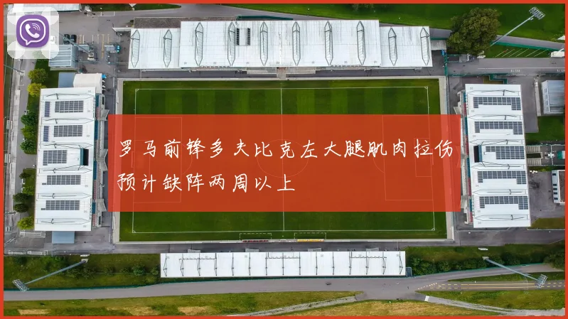 罗马前锋多夫比克左大腿肌肉拉伤预计缺阵两周以上