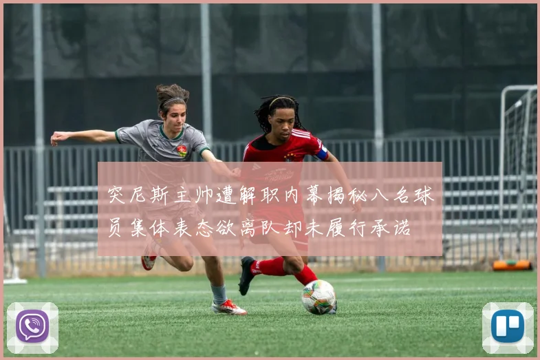 突尼斯主帅遭解职内幕揭秘八名球员集体表态欲离队却未履行承诺